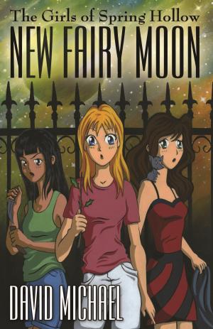 Book cover of New Fairy Moon