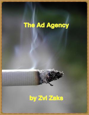 Cover of the book The Ad Agency by Kathleen Valentine