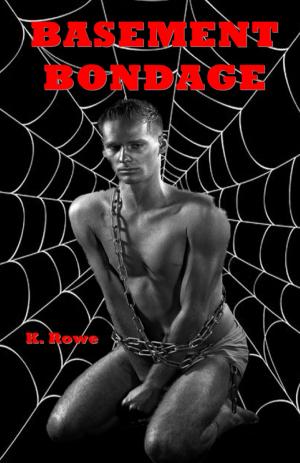 Cover of the book Basement Bondage by K. Rowe