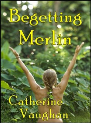 Cover of the book Begetting Merlin by Katharina Groth
