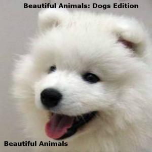 Cover of Beautiful Animals: Dogs Edition
