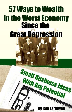 Cover of 57 Ways to Wealth in the Worst Economy Since the Great Depression: Small Business Ideas With Big Potential