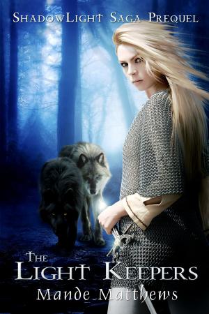 Cover of the book The Light Keepers: a YA Epic Fantasy - Prequel to the ShadowLight Saga by Jolie Jaquinta