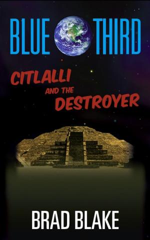 Book cover of Blue Third: Citlalli and the Destroyer