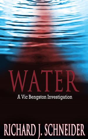 Cover of the book Water: A Vic Bengston Investigation by Paul Croasdell