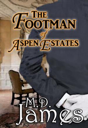 Cover of the book The Footman of Aspen Estates (The Concord Series #2) by Matt Zachary