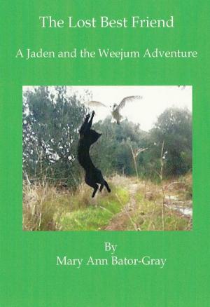 Book cover of The Lost Best Friend, a Jaden and the Weejum Adventure