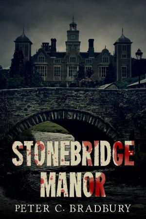 Book cover of Stonebridge Manor