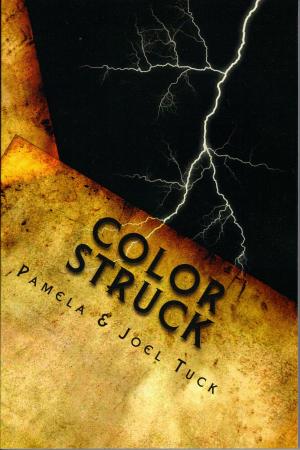 Cover of the book Color Struck by Jake Lyron