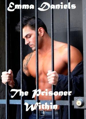 bigCover of the book The Prisoner Within by 