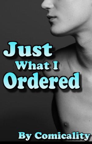 Book cover of Just What I Ordered