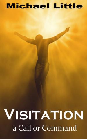 Cover of the book Visitation-A Call or Command by Joseph Prince