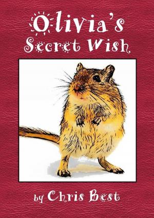 Book cover of Olivia's Secret Wish