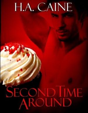 Cover of the book Second Time Around by M Todd Gallowglas