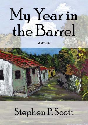 Cover of the book My Year in the Barrel by Jos Henry