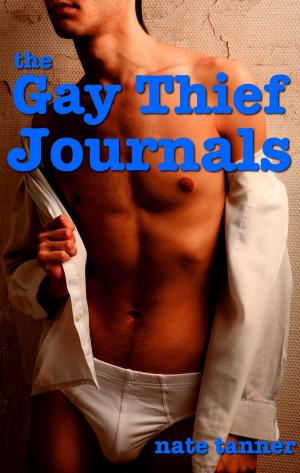 bigCover of the book The Gay Thief Journals by 