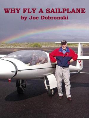 Cover of the book Why Fly A Sailplane by Federal Aviation Administration (FAA)