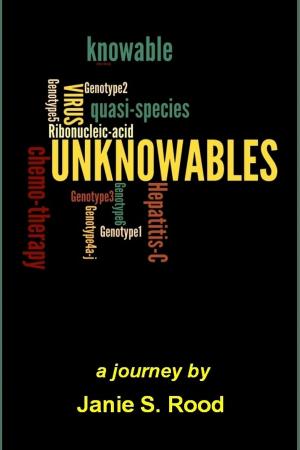 Cover of the book Unknowables by J.H. Johnson