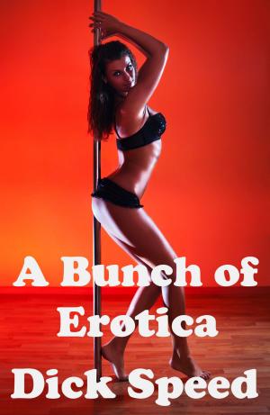 Cover of the book A Bunch of Erotica by Dick Speed