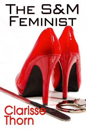 Cover of the book The S&M Feminist: Best of Clarisse Thorn by G. A. Schindler