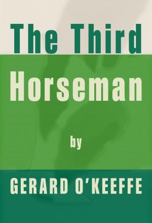 Cover of the book The Third Horseman by Chris Seabranch