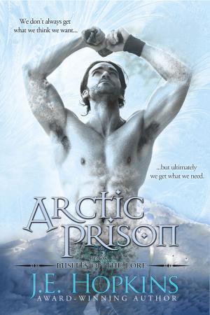 Cover of the book Arctic Prison: Misfits of the Lore Series #3 by V.A. Dold