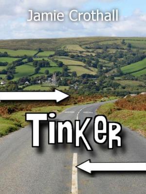 Book cover of Tinker