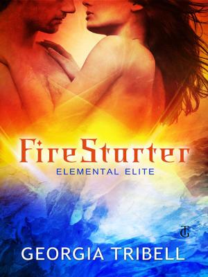 Cover of the book FireStarter by Gin Gabrieli
