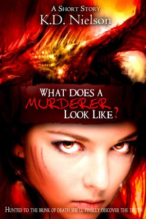 Cover of the book What Does A Murderer Looks Like by Elizabeth Lee Sorrell