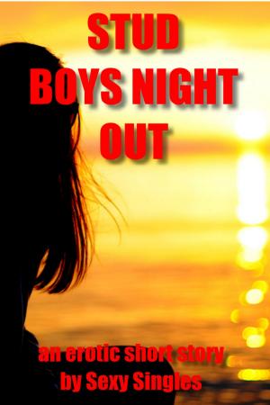 Cover of the book Stud Boy's Night Out by Kathy Carmichael