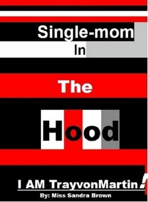 Cover of the book Single-mom in the Hood by Daniel Gabarró