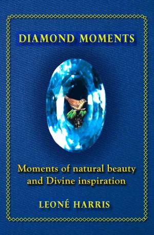 Cover of the book Diamond Moments by Anastacio Martinez