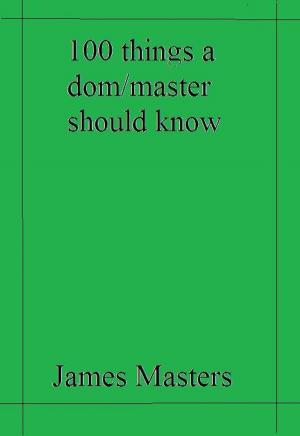 Cover of the book 100 Things a Dom/Master Should Know by James Masters