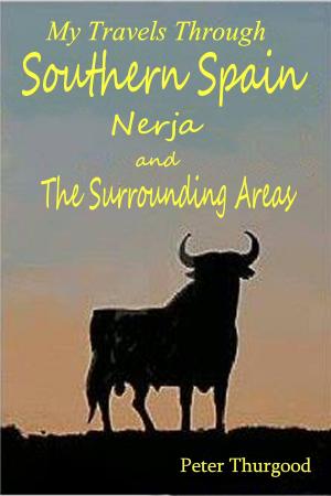 Book cover of Southern Spain: A Guide to Nerja & the Surrounding Areas