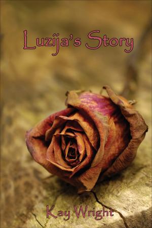 Cover of the book Luzija's Story by Terence Nardo