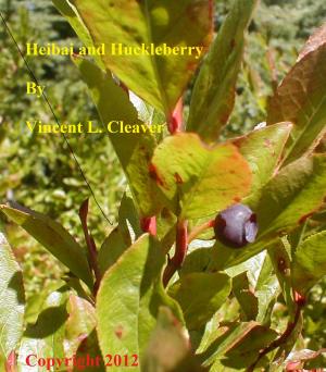 Book cover of Heibai and Huckleberry