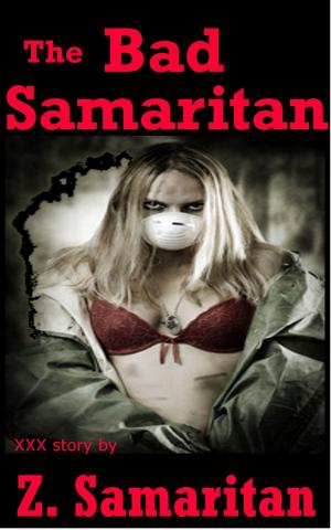 Cover of the book The Bad Samaritan by Anne McAllister