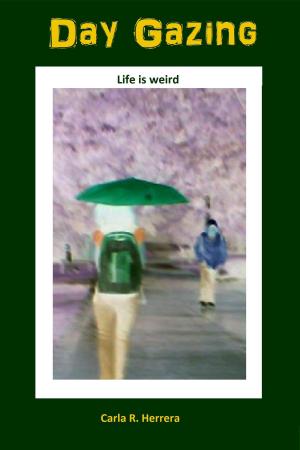 Cover of the book Day Gazing: Weird Shorts by A. Maire Dinsmore