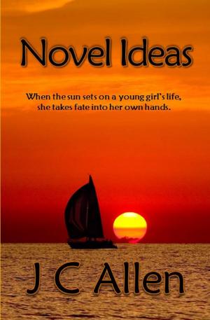 Book cover of Novel Ideas