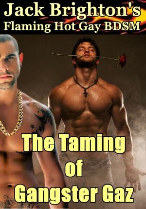 Cover of the book The Taming of Gangster Gaz by Tim Strong