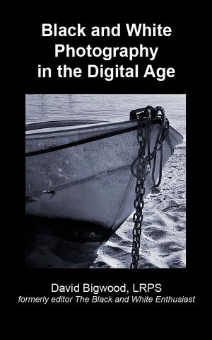 Book cover of Black and White Photography in the Digital Age