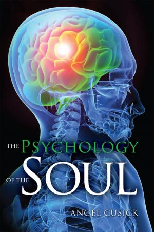 Cover of the book The Psychology of the Soul by 马银春