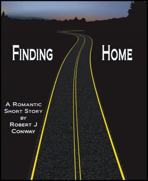 Cover of the book Finding Home by Kirsty Dallas
