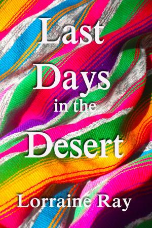 Cover of the book Last Days in the Desert by John Sloop Biederman