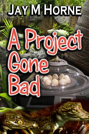 Book cover of A Project Gone Bad