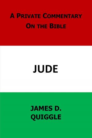 Cover of the book A Private Commentary on the Bible: Jude by James D. Quiggle