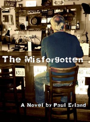 Cover of the book The Misforgotten by Jeroen van Mastbergen