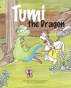 Book cover of Tumi the Dragon