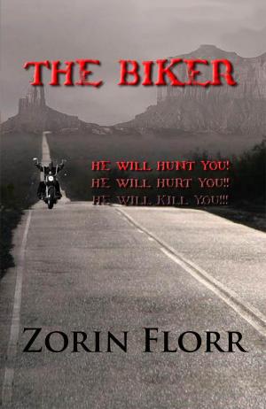 Book cover of The Biker
