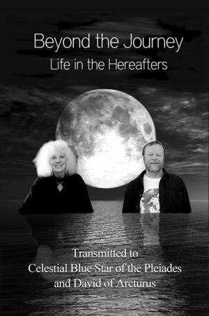 Cover of Beyond the Journey: Life in the Hereafters